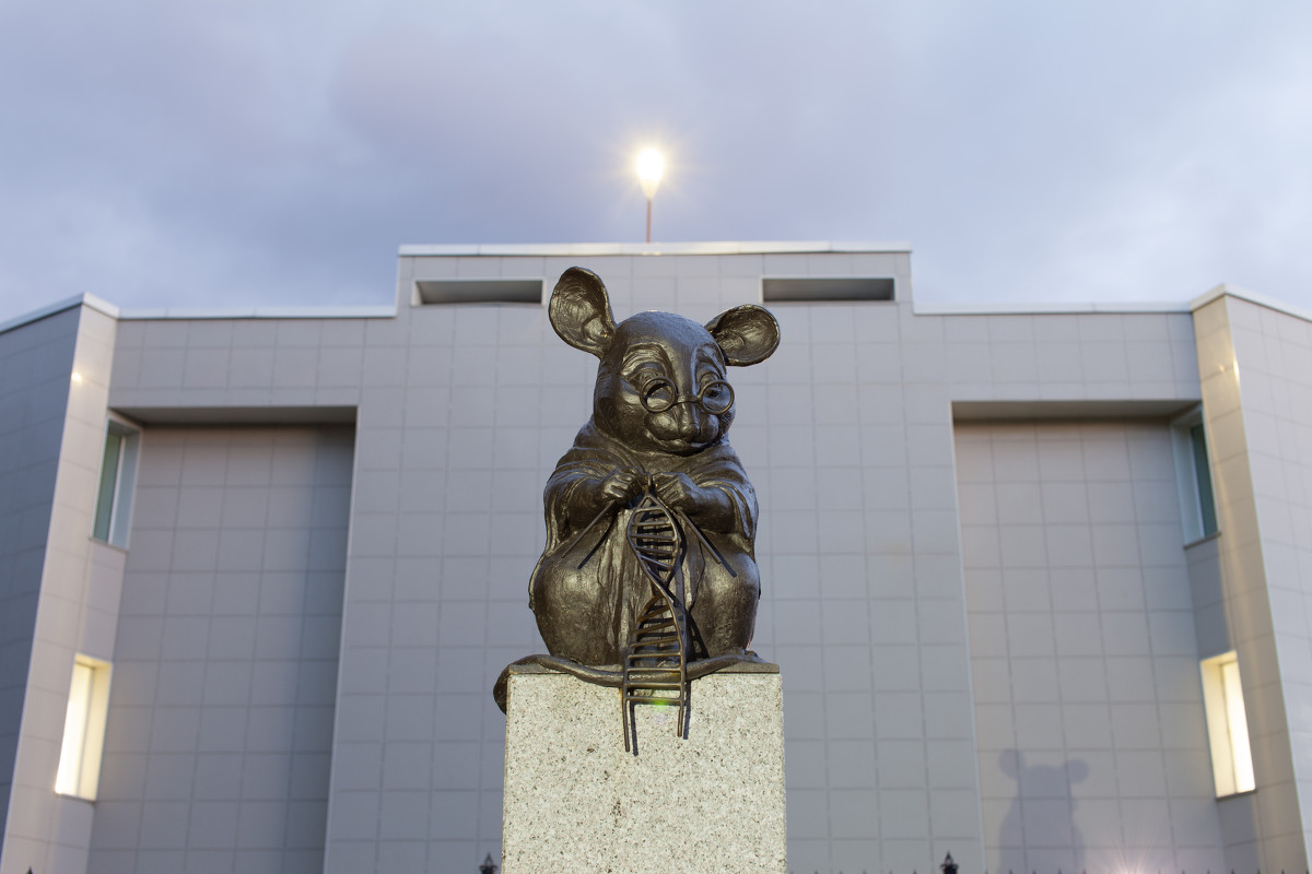 Удивительные и весьма интересные памятники, которые посвящены разным животным Удивительные и весьма интересные памятники, которые посвящены разным животным