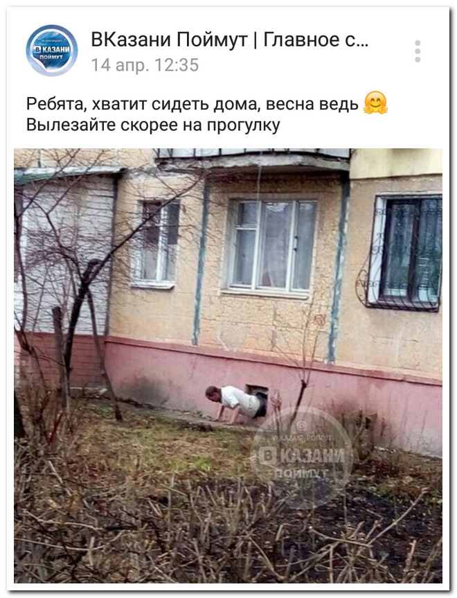 Забавные комментарии из социальных сетей