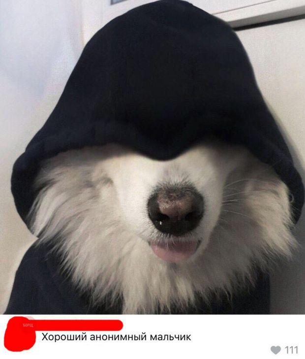 Прикольные картинки