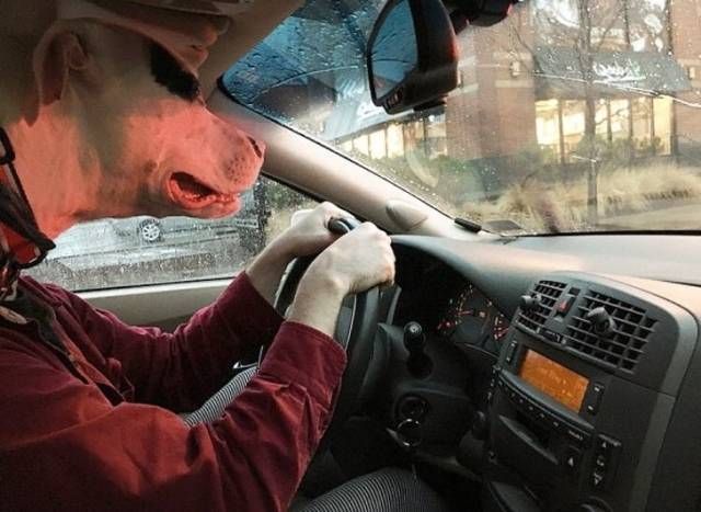Прикольные картинки