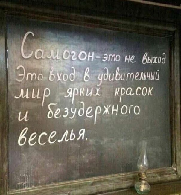 Прикольные картинки