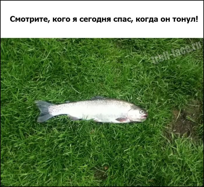 Веселые комиксы