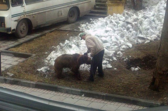 Из России с любовью