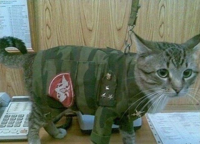 Из России с любовью