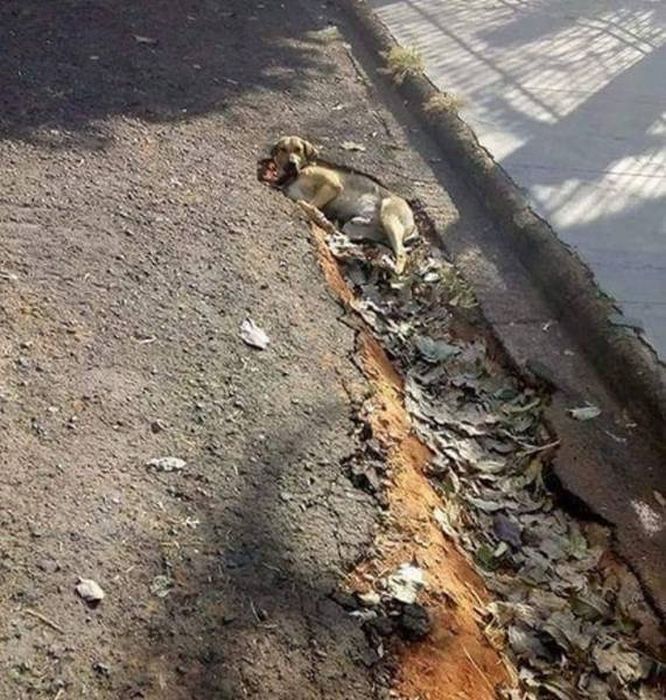 Момент удачного совпадения