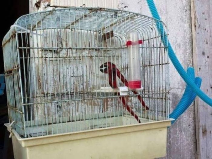 Момент удачного совпадения