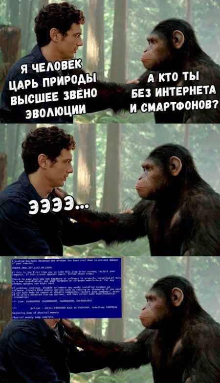 Прикольные картинки
