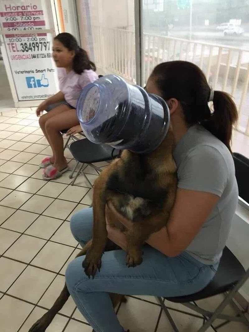 Бывают в жизни огорчения...