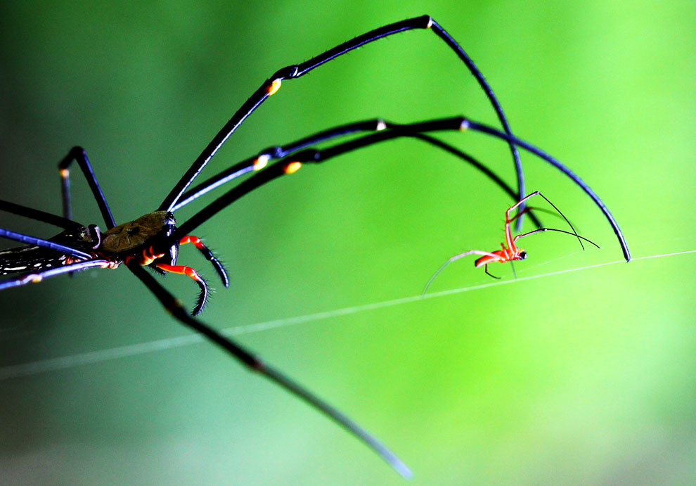 Конкурс фотографий National Geographic Traveler 2013. Часть 2