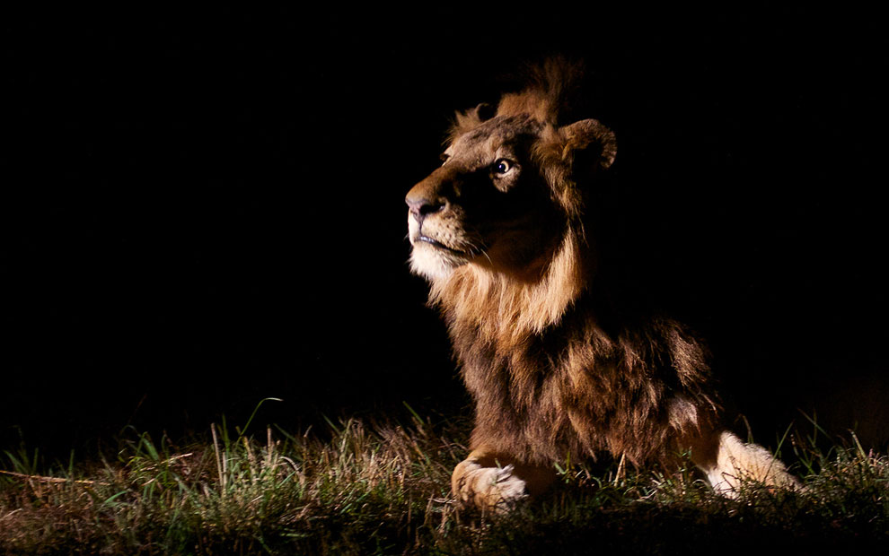 Конкурс фотографий National Geographic Traveler 2013. Часть 2