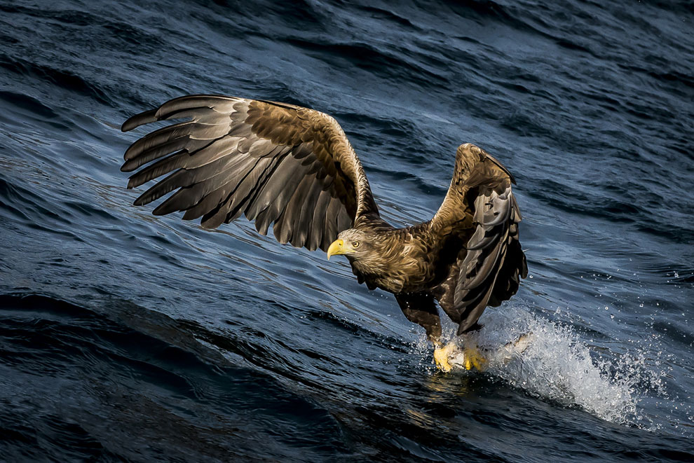 Конкурс фотографий National Geographic Traveler 2013. Часть 2