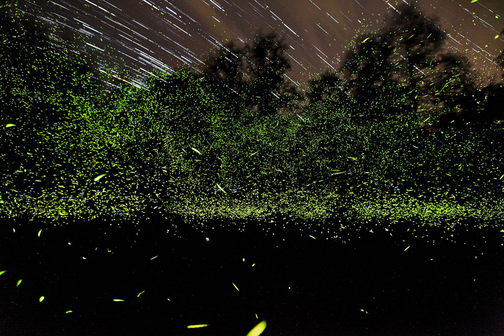 Конкурс фотографий National Geographic Traveler 2013. Часть 2
