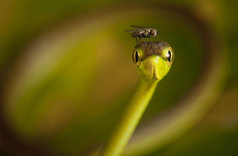 Конкурс фотографий National Geographic Traveler 2013. Часть 2