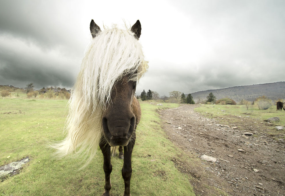Конкурс фотографий National Geographic Traveler 2013. Часть 2