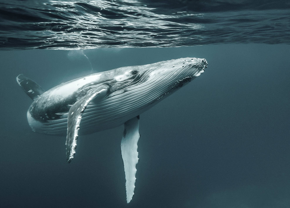 Конкурс фотографий National Geographic Traveler 2013. Часть 2