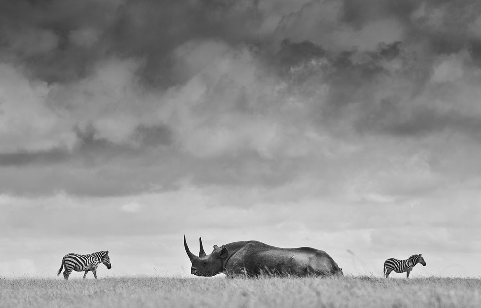 Конкурс фотографий National Geographic Traveler 2013. Часть 2