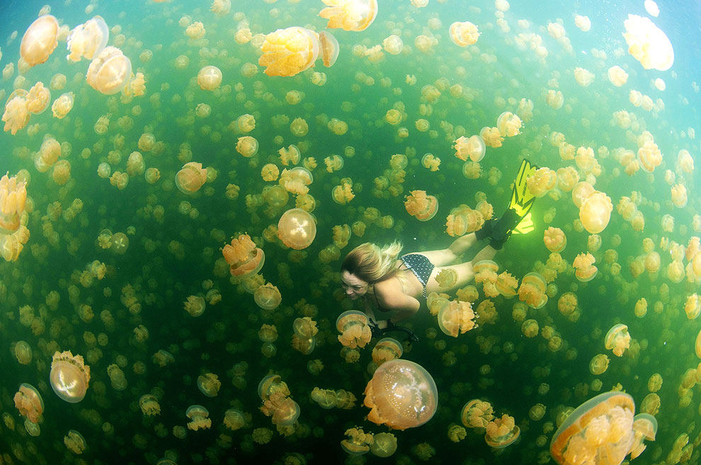 Конкурс фотографий National Geographic Traveler 2013. Часть 2