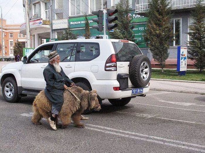 Прикольные картинки