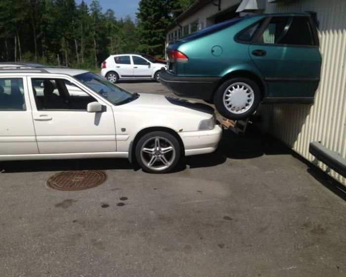 Прикольные картинки