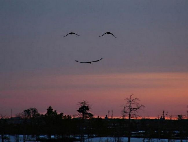 Улыбайтесь