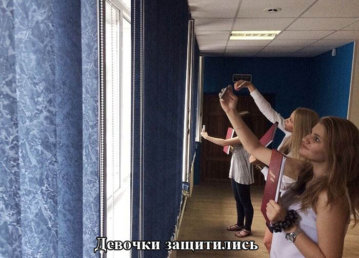 Порция картинок