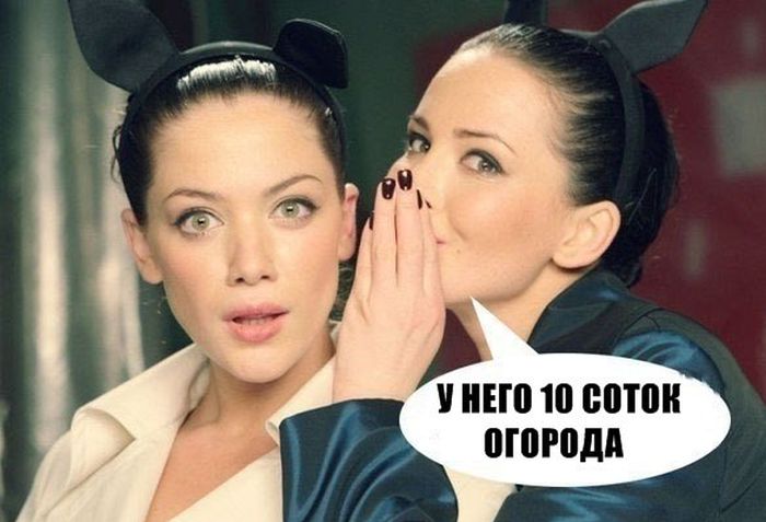 Порция картинок