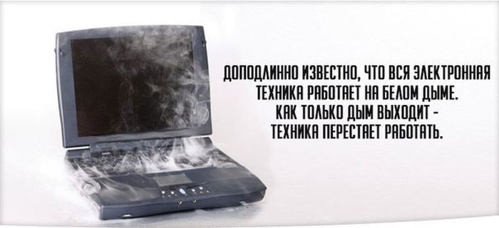 Порция картинок