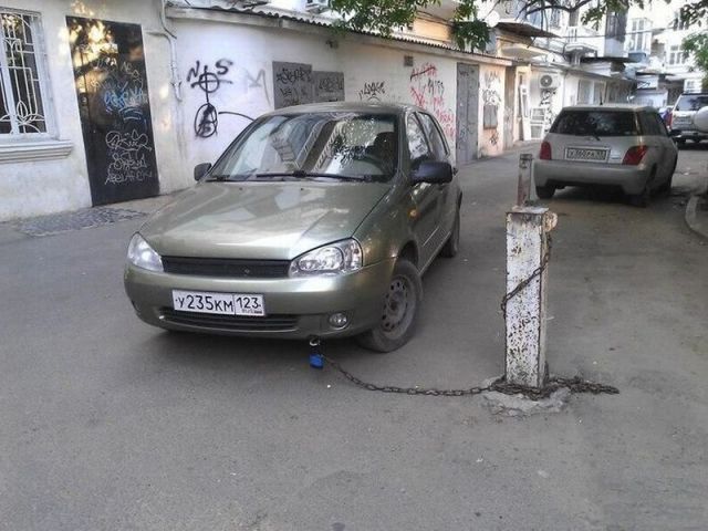 Прикольные картинки
