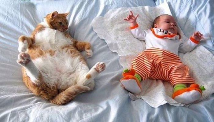 Коллекция эмоциональных снимков