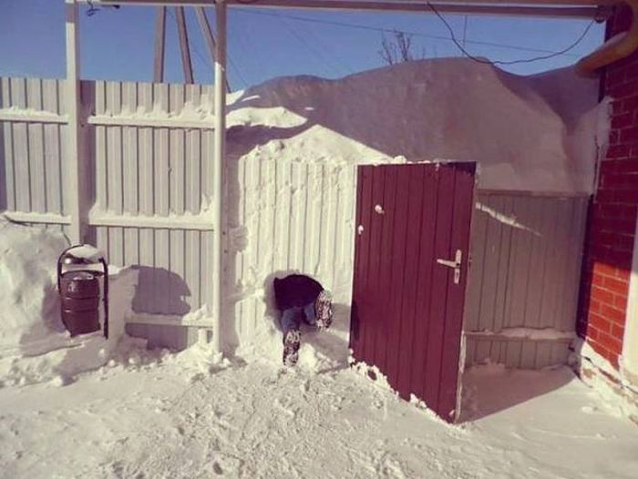 Коллекция эмоциональных снимков