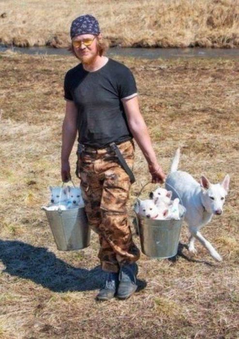 Коллекция эмоциональных снимков
