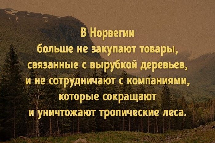 То, что поможет изменить наш мир к лучшему