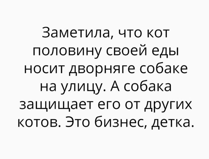Забавные посты и комментарии из соцсетей