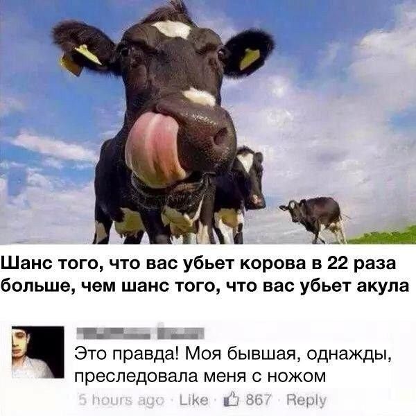 Забавные посты и комментарии из соцсетей