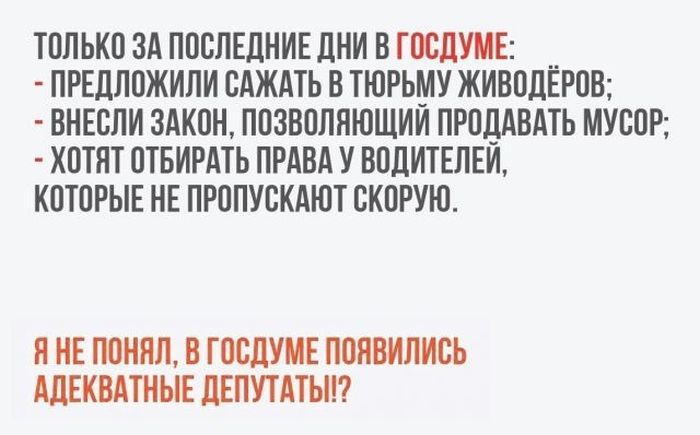 Смешные картинки с надписями
