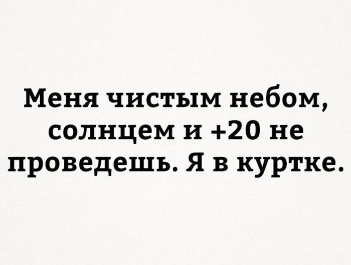 Смешные картинки с надписями