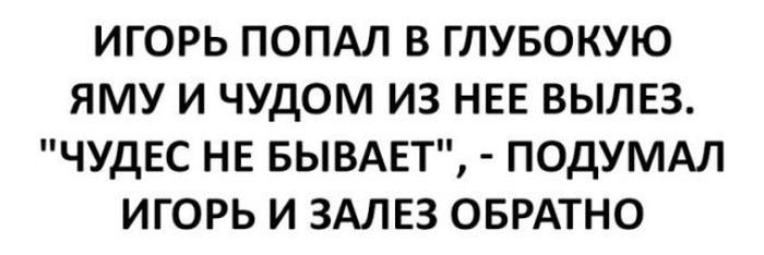Смешные картинки с надписями