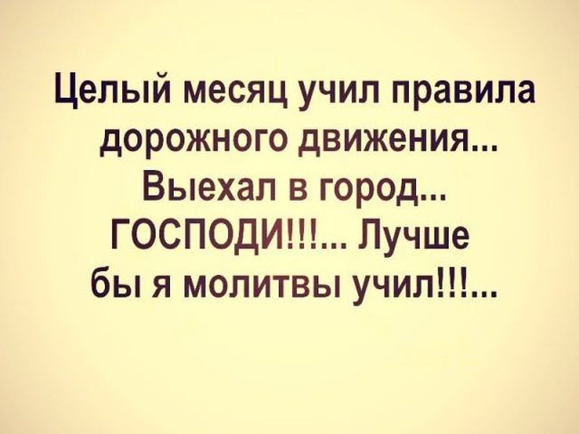 Смешные картинки с надписями
