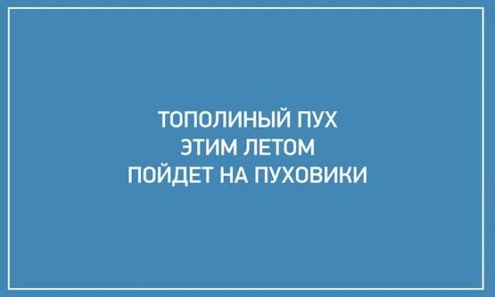 Смешные картинки с надписями