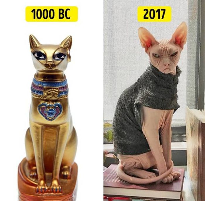 Вещи, которые никогда не меняются