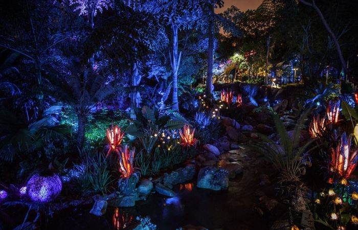 Тематический парк Pandora World of Avatar land в Disney World