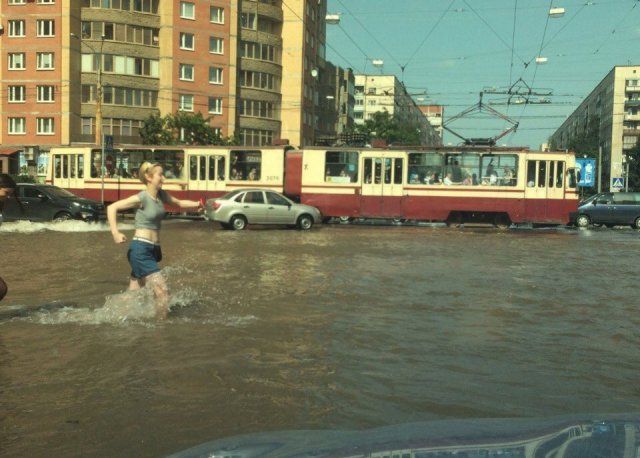 На бескрайних просторах