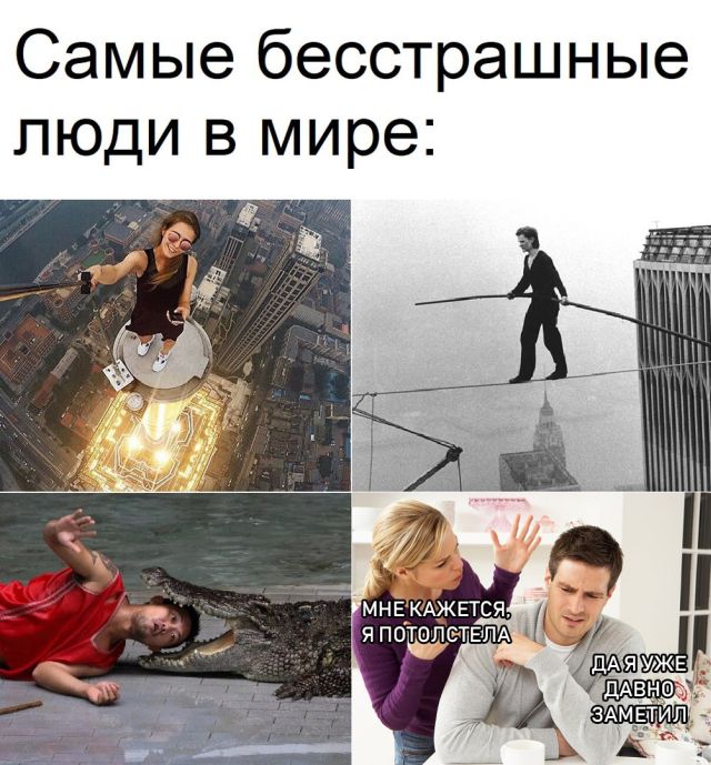 Прикольные картинки