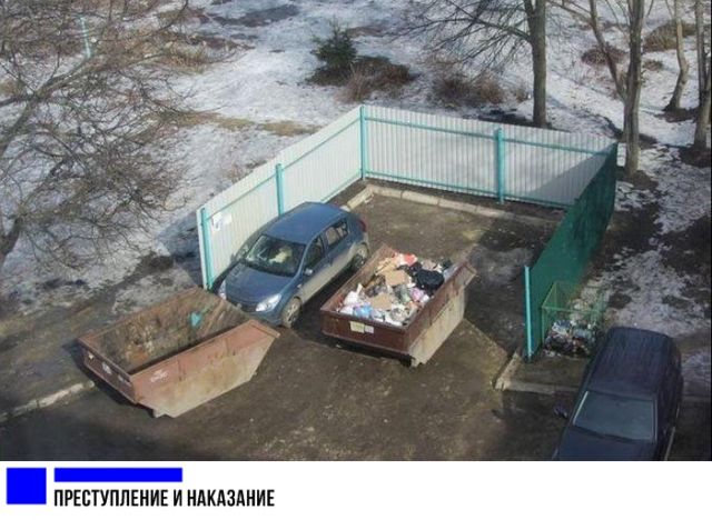 Прикольные картинки