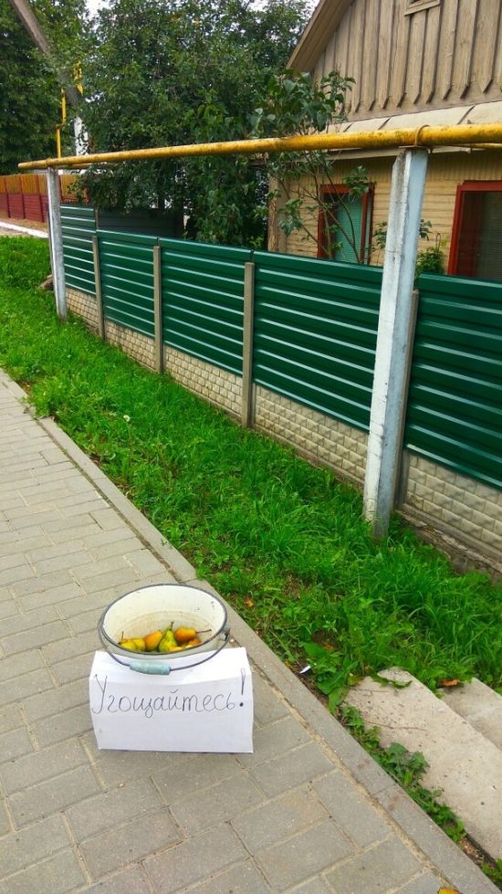 Прикольные картинки