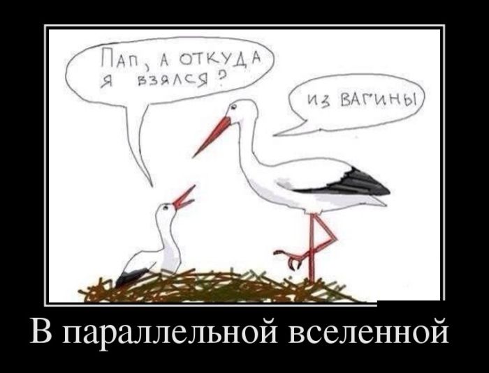 Демотиваторы