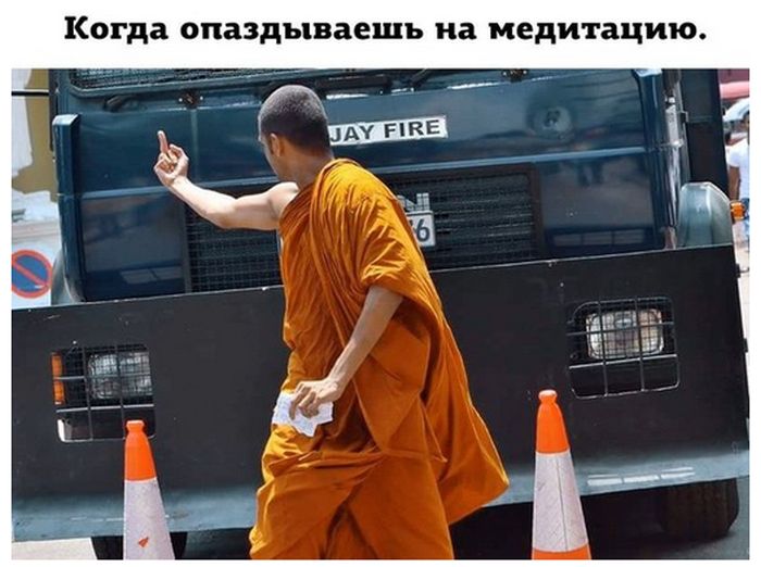 Прикольные картинки
