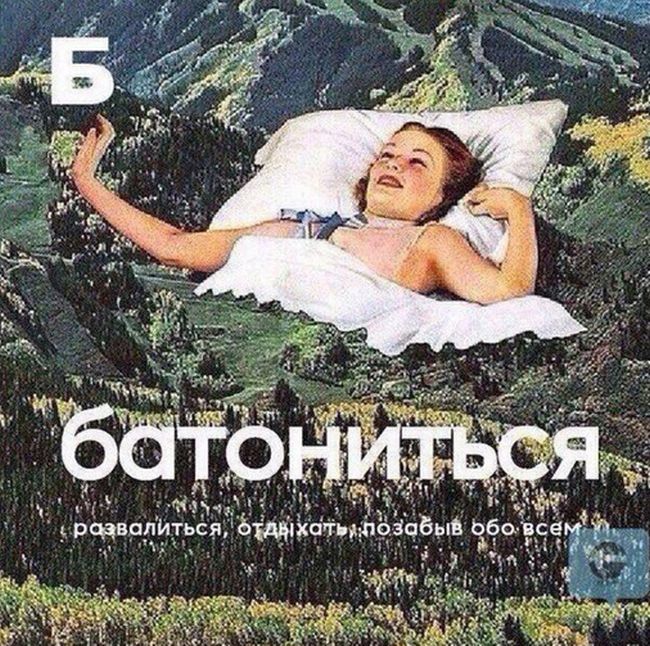 Прикольные картинки