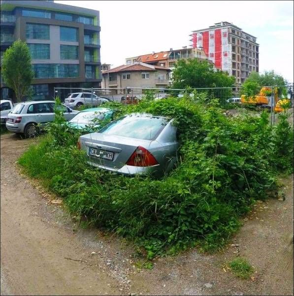 Прикольные картинки