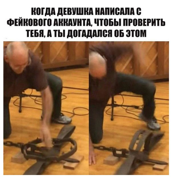 Прикольные картинки